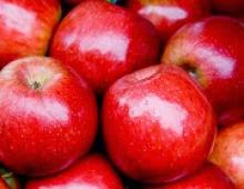 تفسير الحلم من سقوط التفاح. حلم الساحر المدية. لماذا حلم سرقة التفاح؟